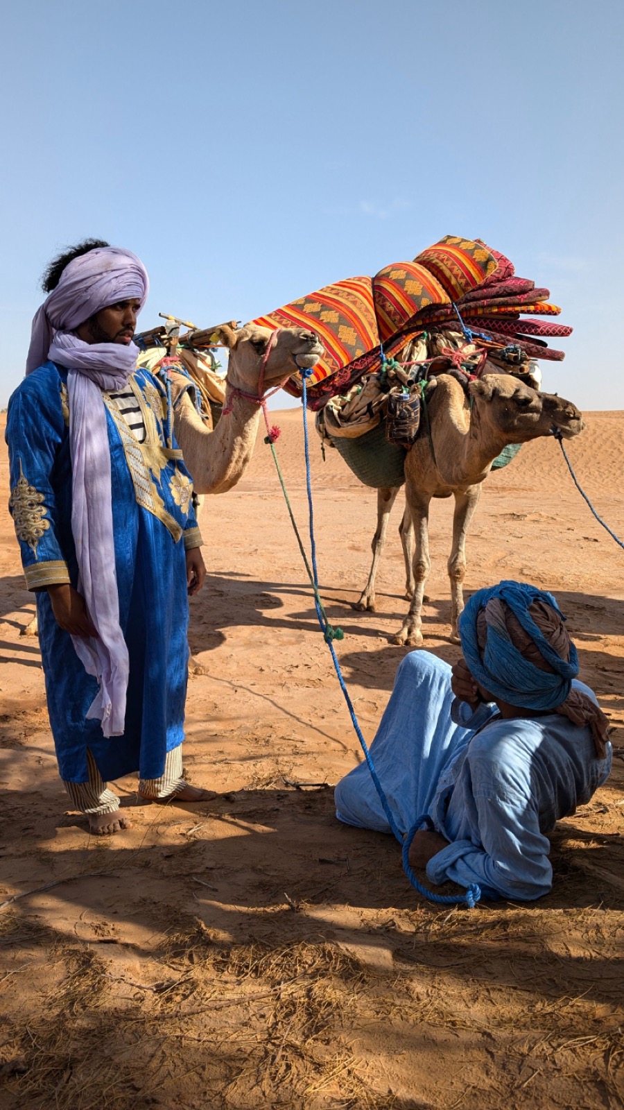 Faysal et son équipe de nomades
